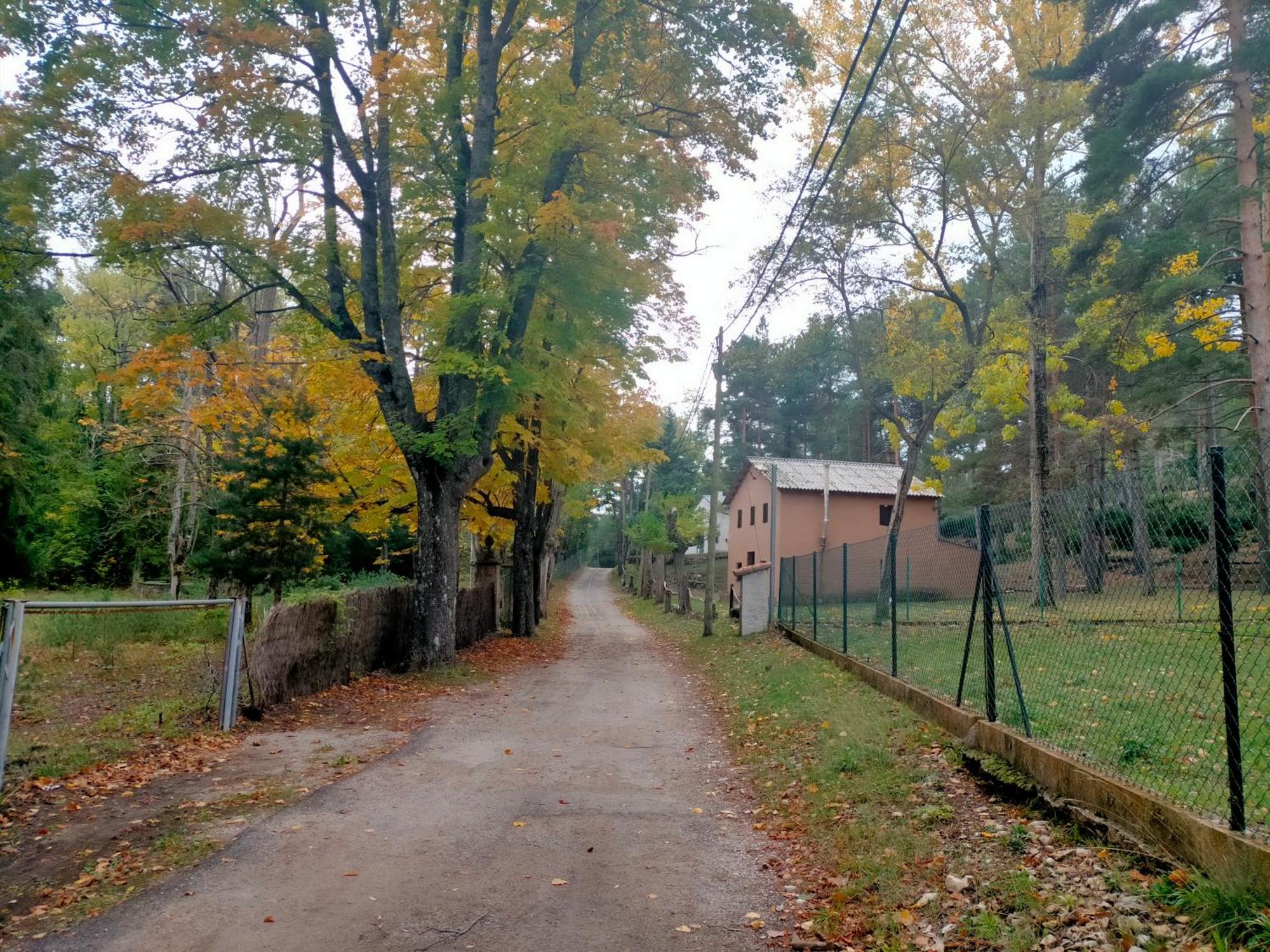 Casa Rural Tia Salome San Jorge  Екстериор снимка