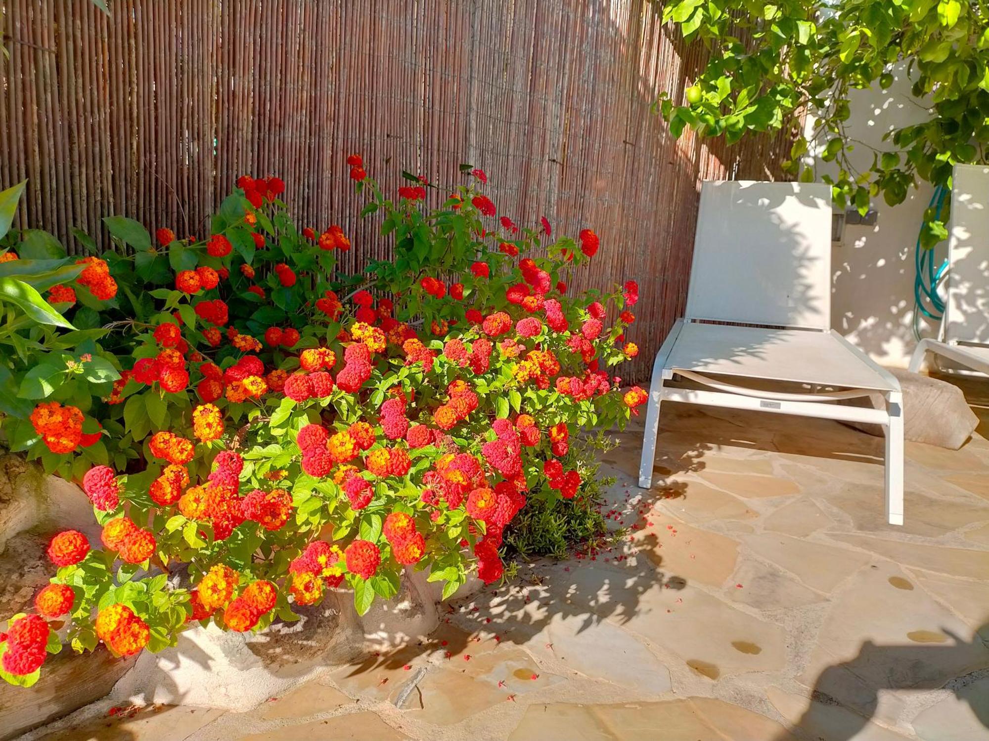 Casa Rural Tia Salome San Jorge  Екстериор снимка